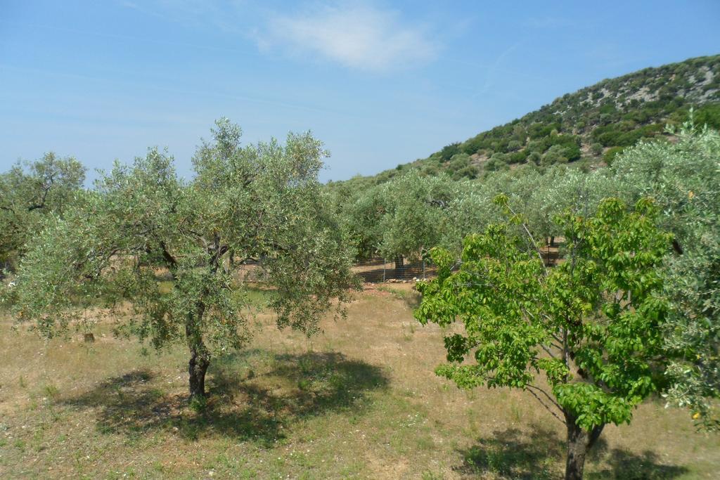 Lonely House Villa Astris Bagian luar foto